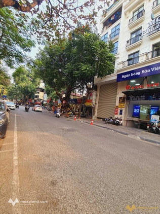 Nhà mặt phố Trần Xuân Soạn, Hai Bà Trưng, 340m2, mặt tiền 10m
