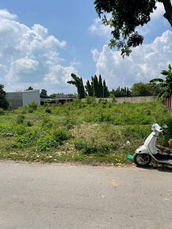 Bán lô đất 2 mặt tiền Nguyễn Thị Nếp, Tân Thạnh Đông, Củ Chi, 795m2, giá chỉ 650 triệu
