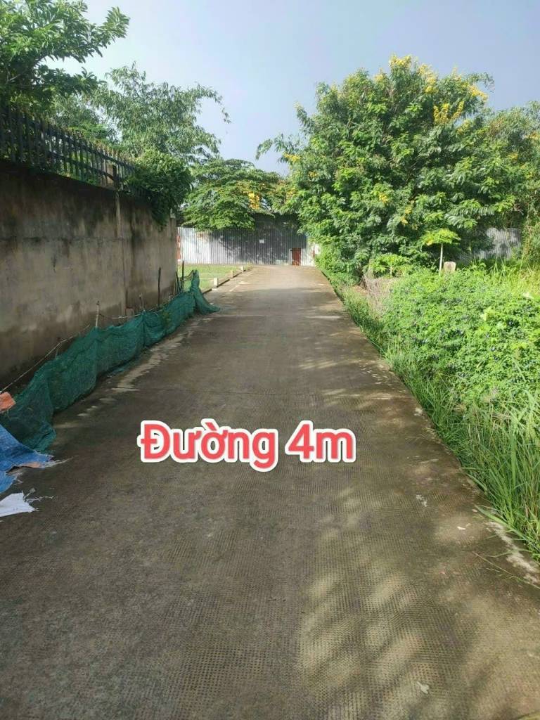 CẦN BÁN ĐẤT HẺM XE HƠI BÌNH CHÁNH, 89,5M2 CÓ 62,8M2 THỔ CƯ, GIÁ 3 TỶ