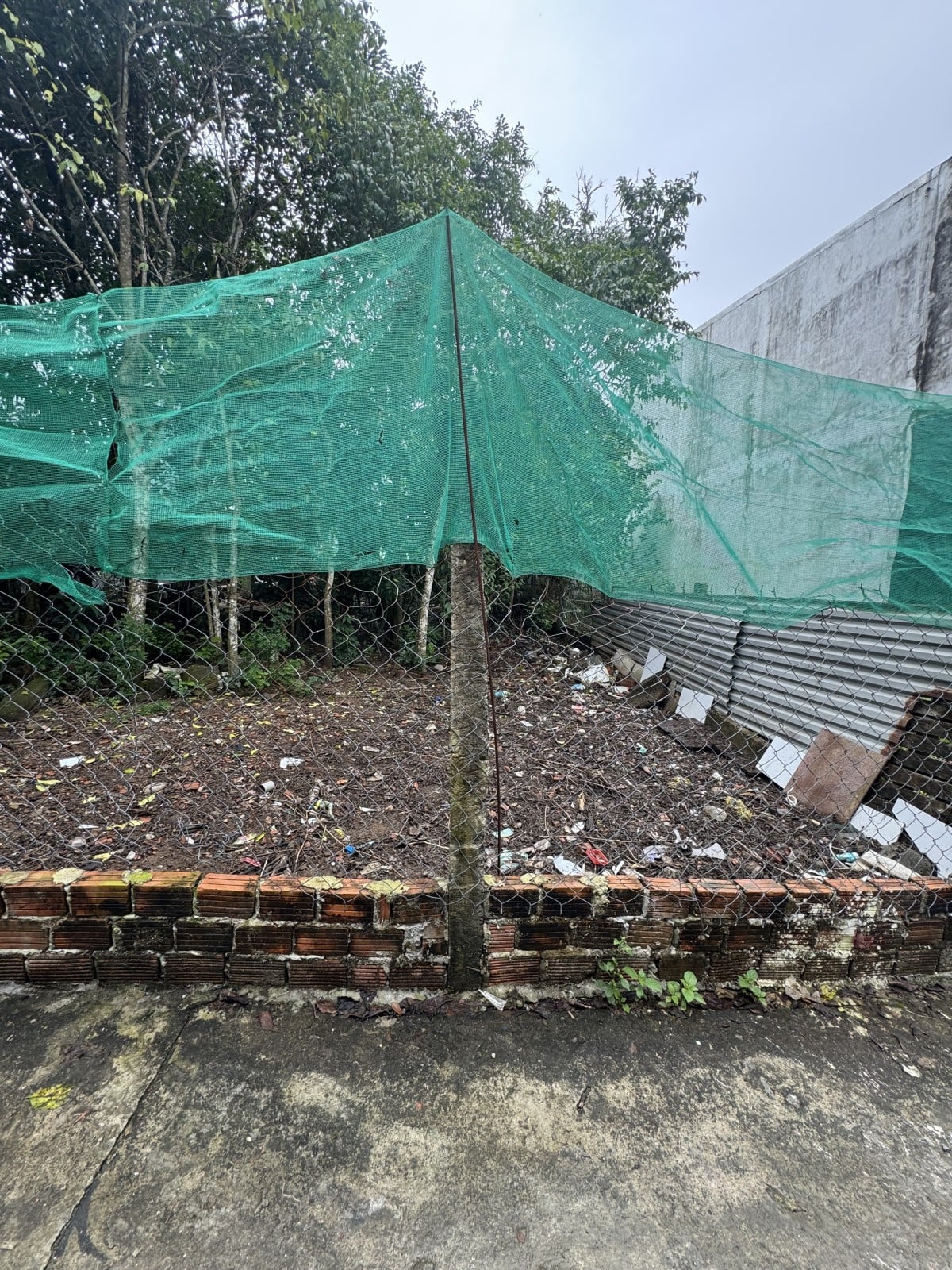 Bán đất nền, 111,5 m², Cẩm Lệ
