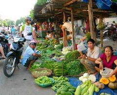 Tôi chính chủ bán gấp 2 dãy nhà trọ đang kinh doanh thu nhập ổn định 17triệu/ tháng