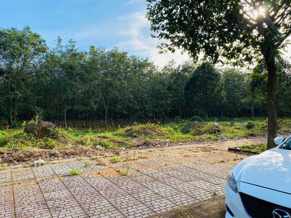 Bán đất Thị trấn Dầu Giây, đất ODT, khu dân cư hiện hữu, giá chỉ 15,7 triệu/m2