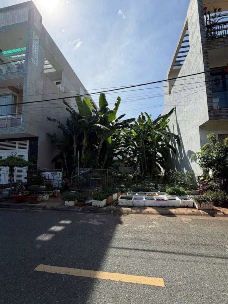 Chủ bán đất mặt tiền đường Nguyễn Siêu, Phước Nguyên, Bà Rịa, TPHCM, vị trí đẹp trung tâm