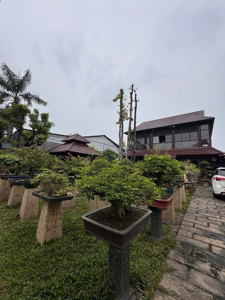 Bán gấp biệt thự Đường Hai Bà Trưng, Đông Hoà, Dĩ An, 700m2, ngang 20m, nội thất đẹp