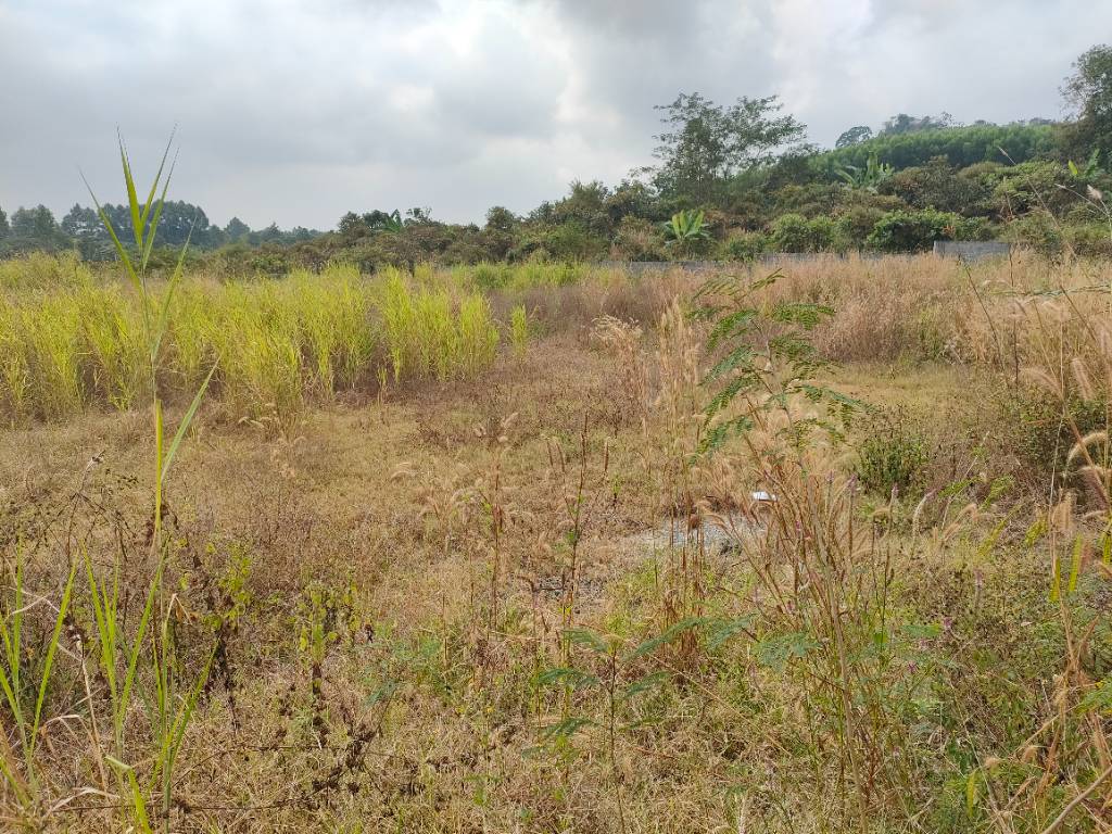 Bán nhanh lô đất Túc Trưng, full thổ cư 150m2, gần Quốc Lộ 20 chỉ 40m, ngân hàng hỗ trợ vay 88%
