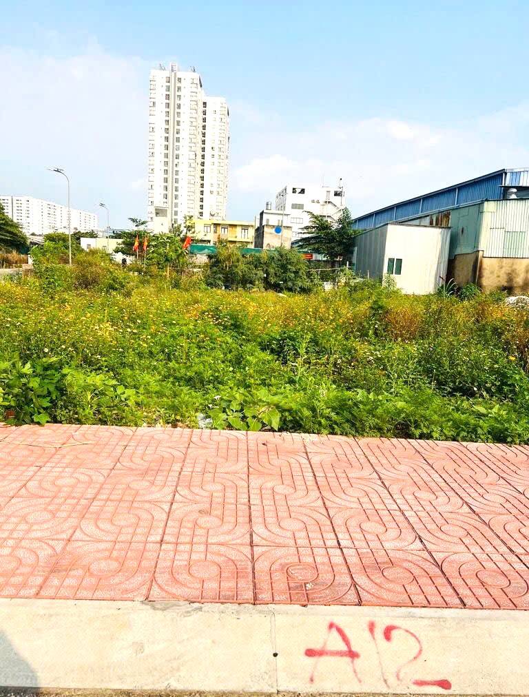 Bán đất mặt tiền An Dương Vương, An Lạc, đường nhựa 8m có lề, 4x14m, giá nhỉnh 4 tỷ