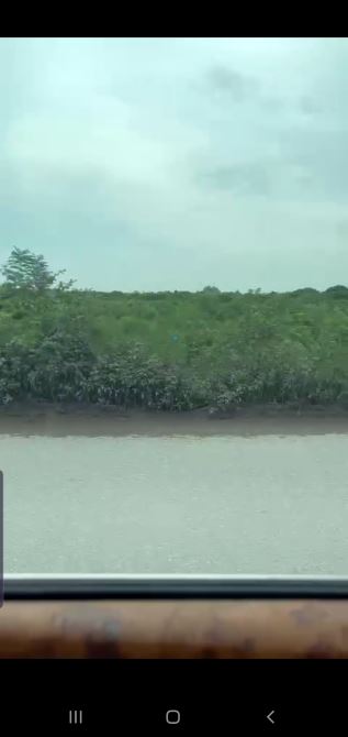 Cty cần bán 1,7 ha đất sxkd, sổ đỏ, giá chỉ 2,8 tr/m2