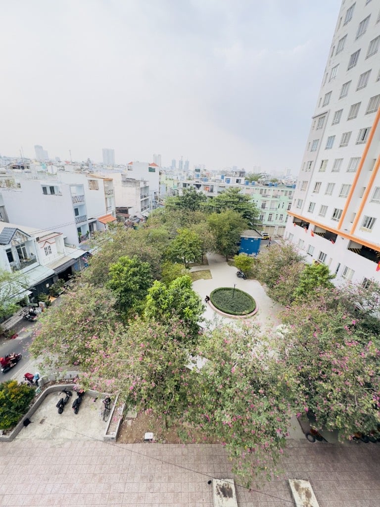 BÁN CĂN HỘ CHUNG CƯ BÔNG SAO QUẬN 8, CÓ SỔ, CĂN GÓC THOÁNG 59M², GIÁ 3.3 TỶ