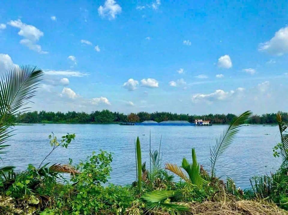 Bán đất thổ cư mặt tiền view sông Vàm Cỏ xã Tân Chánh, 609m2, giá 700 triệu