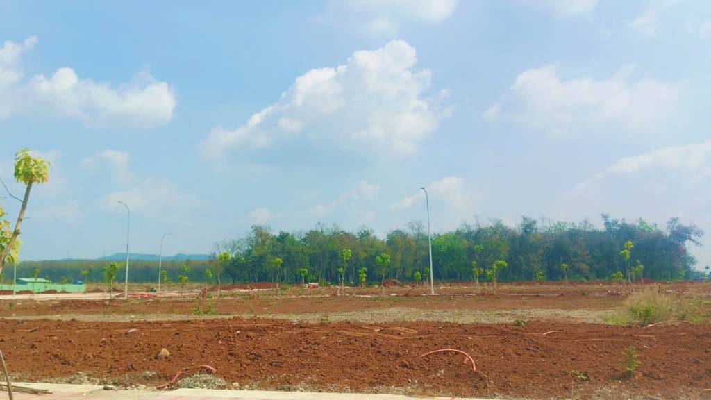 BÁN ĐẤT THE LINK CITY, DẦU GIÂY, TRỤC ĐƯỜNG D15 & N6 ĐANG HOÀN THIỆN