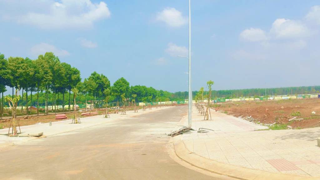 Bán đất dự án The Link City, giá F0 có đáng sở hữu, các tiềm năng đang được đánh giá