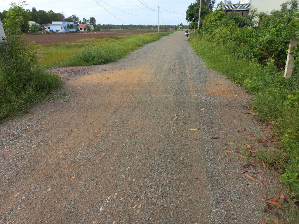 Bán đất lúa Óc Đảo, Long Hựu Tây, Cần Đước 1000m2 mặt tiền xe hơi giá 1,2 tỷ