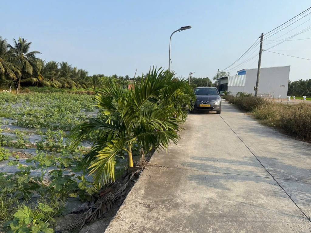 Bán đất tại Xã Tân Trụ, Tây Ninh, nền thổ 5x29m, cách nhựa Cao Thị Mai 500m