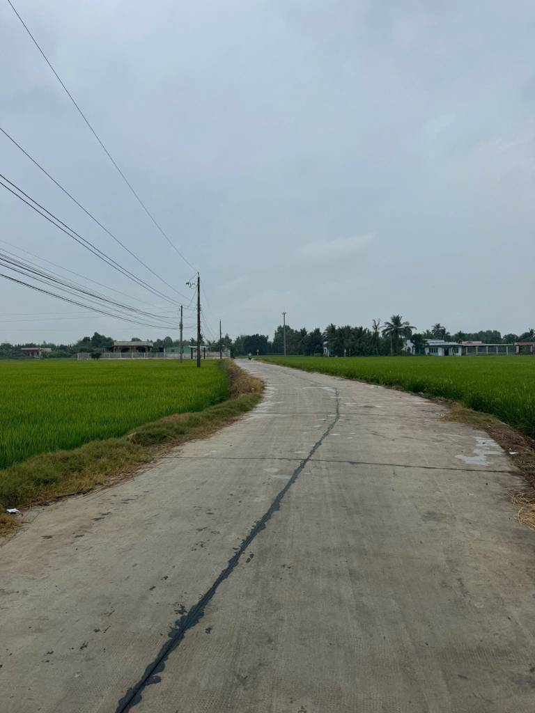 Bán đất thổ cư Nguyễn Văn Vịnh Xã Tân Trụ, dt 200m2 giá 850 triệu