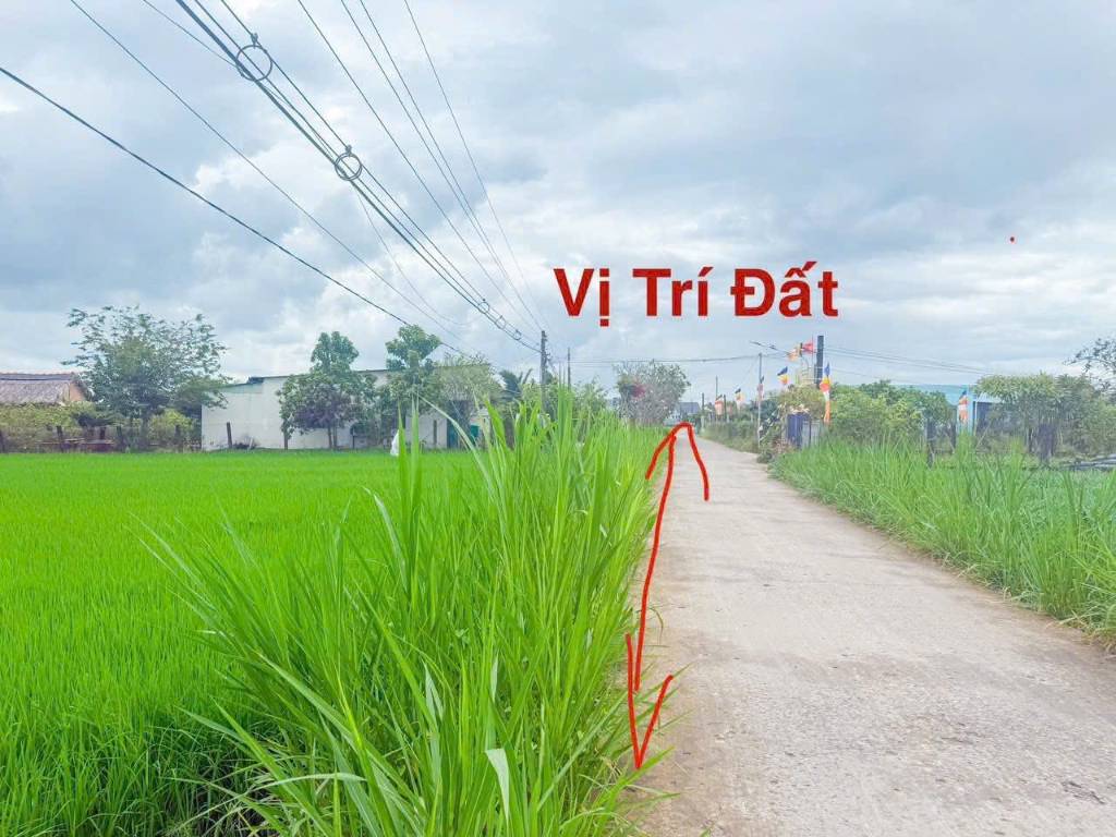 Bán đất mặt tiền Nguyễn Văn Thọ, Tây Ninh, thông ra hai đầu TL833 và TL833B