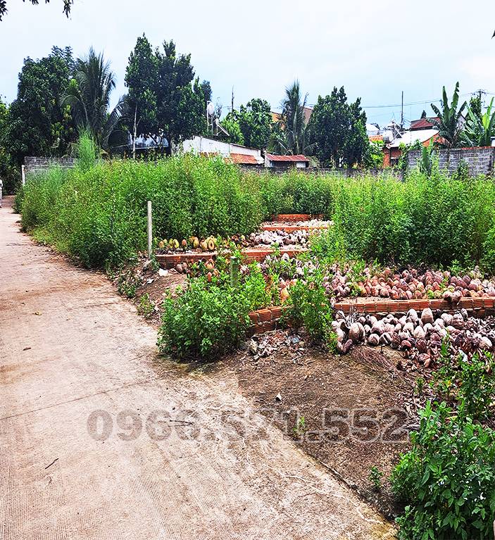 Bán đất Bình Lộc Cây Da, sau chợ Bàu Cối, 205m2 thổ cư, sổ riêng nở hậu, chỉ 700 triệu sở hữu