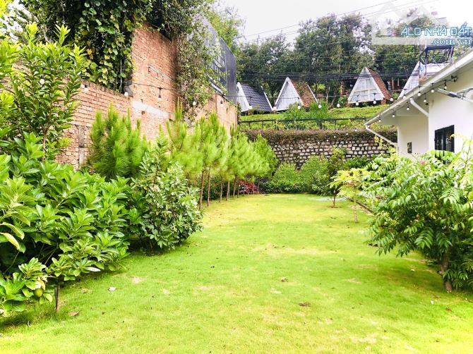 VILLA 2 MẶT TIỀN AN BÌNH P3, 500M2 CÓ SÂN VƯỜN RỘNG RÃI, TẶNG NỘI THẬT GỖ SANG XỊN 37 TỶ