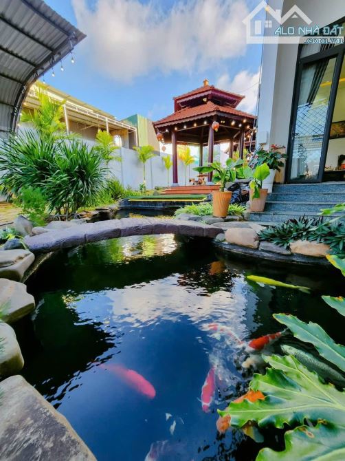 🔥12ty9: NHÀ VƯỜN XỊN SÒ DT: 17m X 50m Thổ cư bìa sẵn (850m2) siêu hiếm Mặt tiền Ymoan
