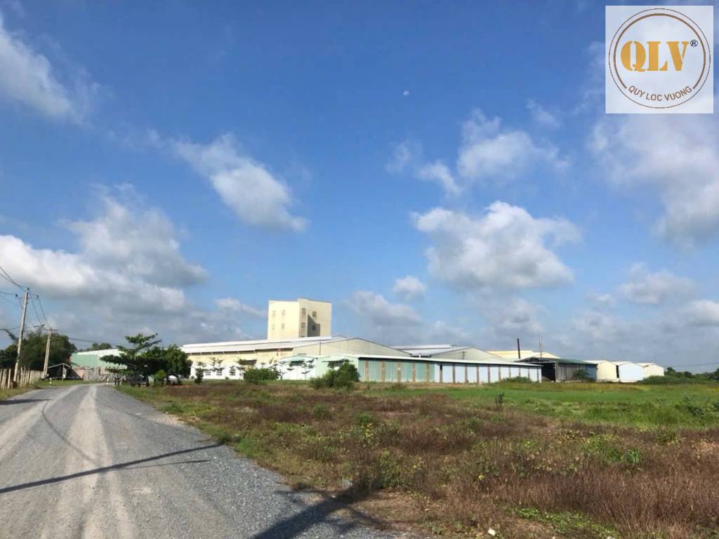 BÁN ĐẤT GÒ DẦU, TÂY NINH, HỢP XÂY DỰNG NHÀ XƯỞNG, DT 36.176m²