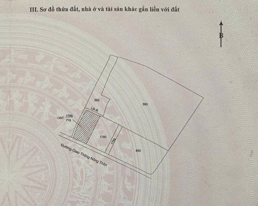 Bán đất thổ cư Tân Lân, Tây Ninh, 3MT thông Liên ấp, 718m² gần đường Quốc Lộ 50, giá 3,45 tỷ