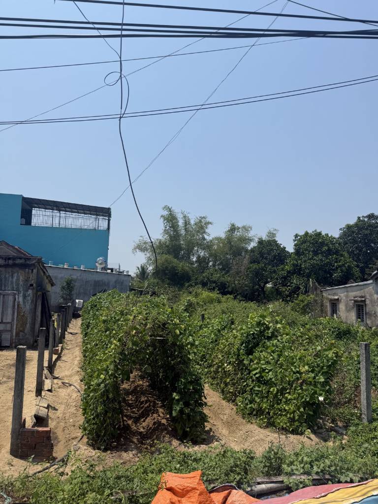 Bán đất Bến Trễ Cẩm Hà Hội An, diện tích 125m2 đường nhựa 7m, giá 2.6 tỷ