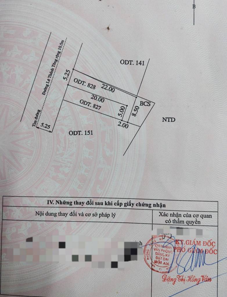 CƠ HỘI SỞ HỮU LÔ ĐẤT MẶT TIỀN & LÊ THÁNH TÔNG, HẬU VIEW LÚA CẨM CHÂU PHƯỜNG HỘI AN ĐÔNG ĐÀ NẴNG