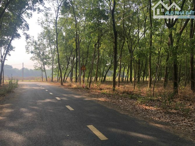 Bán 1,9ha đất SKC đến 2053 đường nhựa làm kho xưởng, Vĩnh Tân, Tân Uyên, Bình Dương