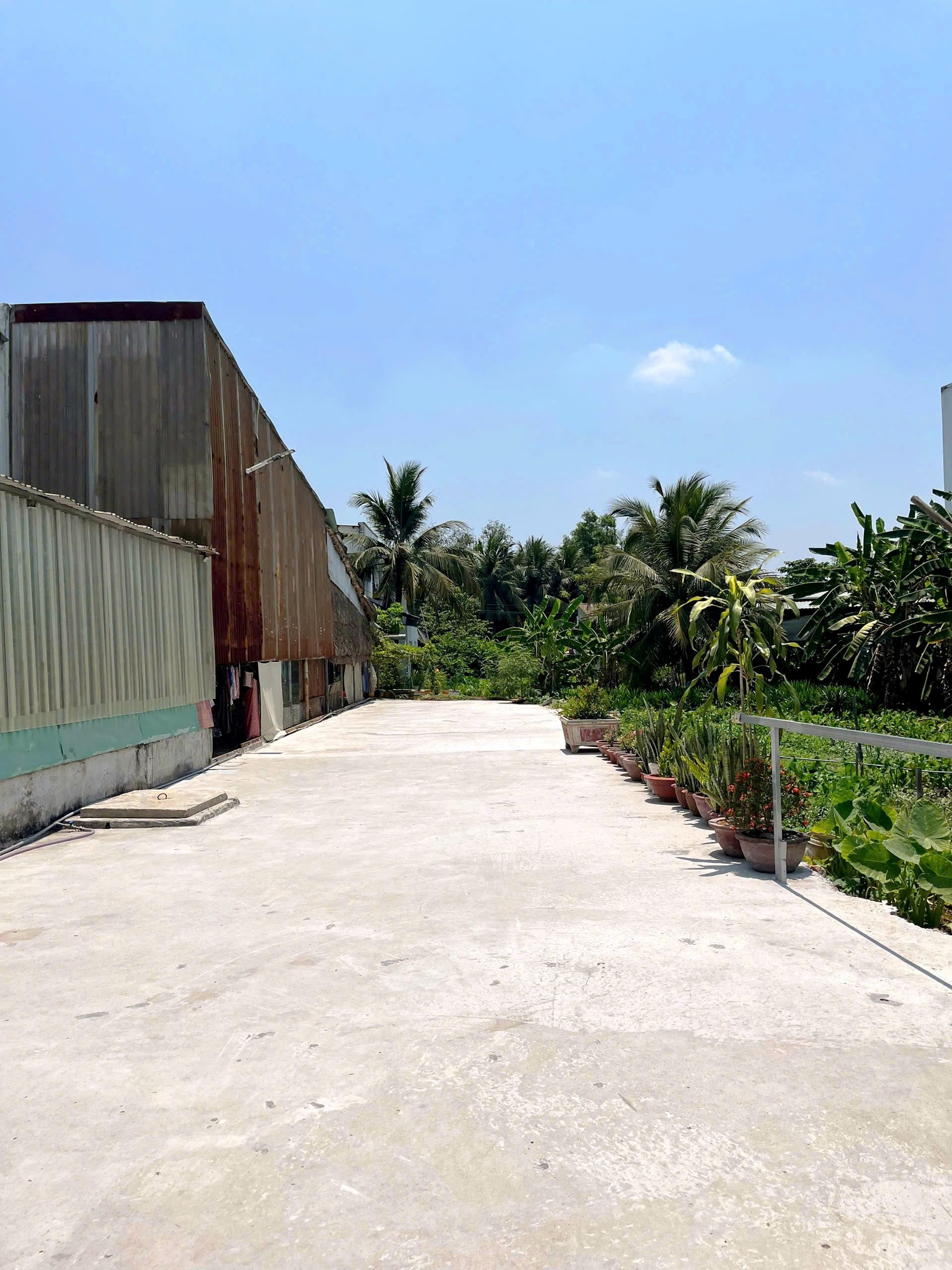 Bán đất thổ cư mặt tiền đường Thích Thiện Hòa, Lê Minh Xuân, 302m² giá 6,5 tỷ