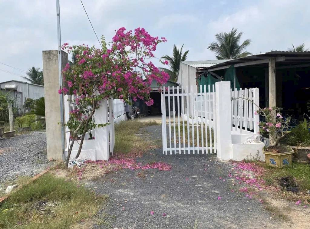 Cần tiền bán gấp nhà cấp 4 MT Võ Văn Điều, Phước Thạnh, 134m2 sổ hồng riêng, giá 750tr
