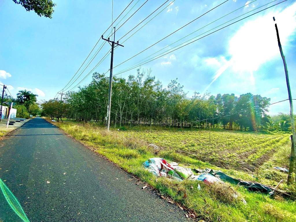 Bán đất mặt tiền Phạm Thị Quới, Phú Mỹ Hưng, Củ Chi 1048.5m² ngang 20m giá 3.6 tỷ