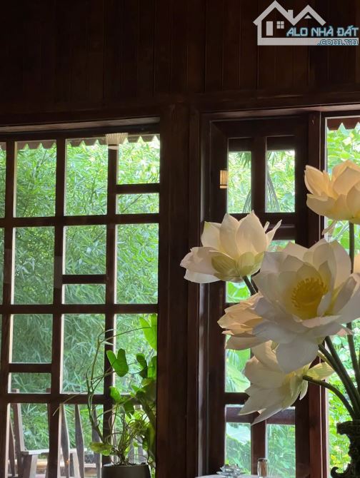 BÁN CĂN BIỆT THỰ GỖ NHỎ XINH TẠI HỒ XUÂN HƯƠNG P9 ĐÀ LẠT