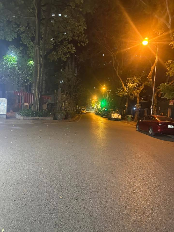 BÁN BIỆT THỰ KĐT LINH ĐÀM, HOÀNG MAI, 220M2 4 TẦNG, LÔ GÓC KINH DOANH, CÓ DÒNG TIỀN