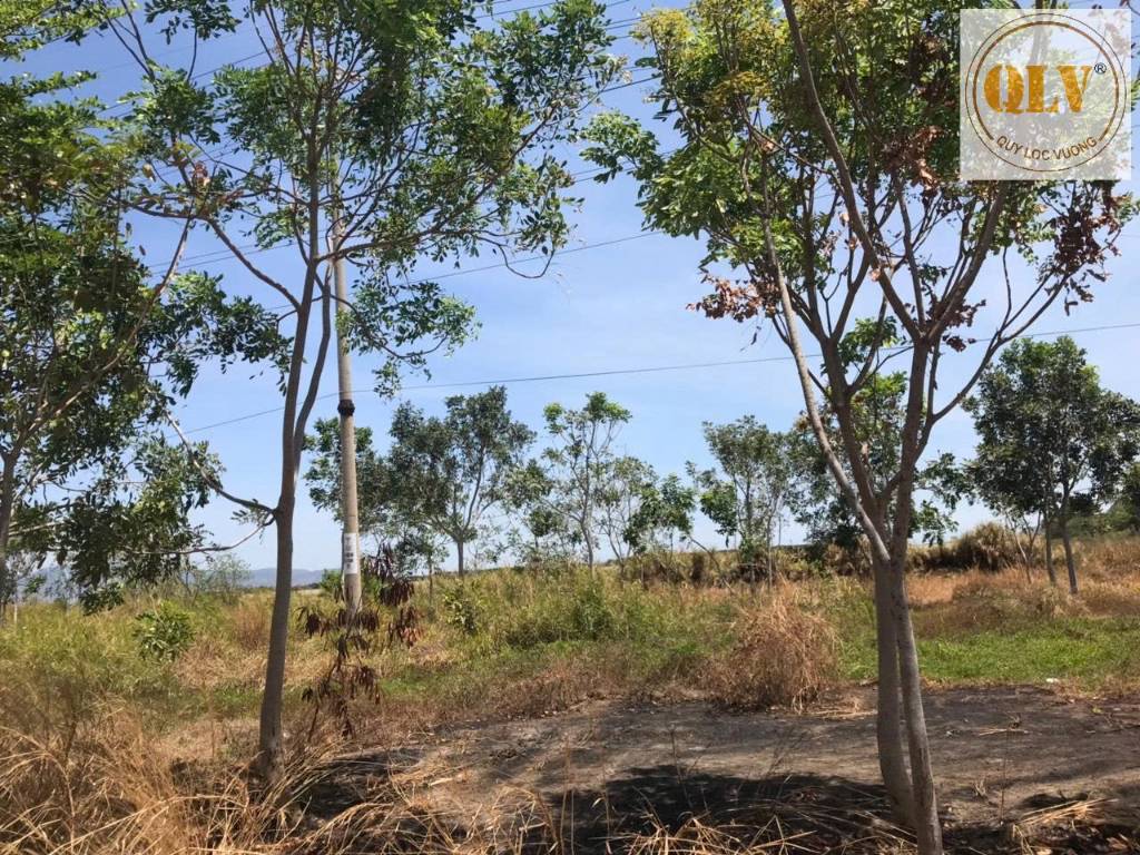 Bán đất Khu công nghiệp Cái Mép, Bà Rịa – Vũng Tàu, diện tích 30.000m²
