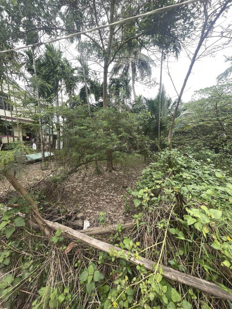 BÁN LÔ ĐẤT VÕ CHÍ CÔNG HỘI AN, NGANG HƠN 9,5M ĐẤT DƯ SỬ DỤNG 100M2, NGAY KHU DU LỊCH VƯỜN DỪA