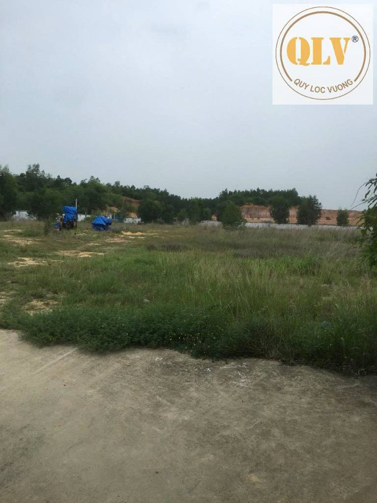 BÁN ĐẤT XÂY XƯỞNG CỤM CÔNG NGHIỆP TÂN MỸ, TÂN UYÊN, 18088M² GIAO THÔNG THUẬN TIỆN