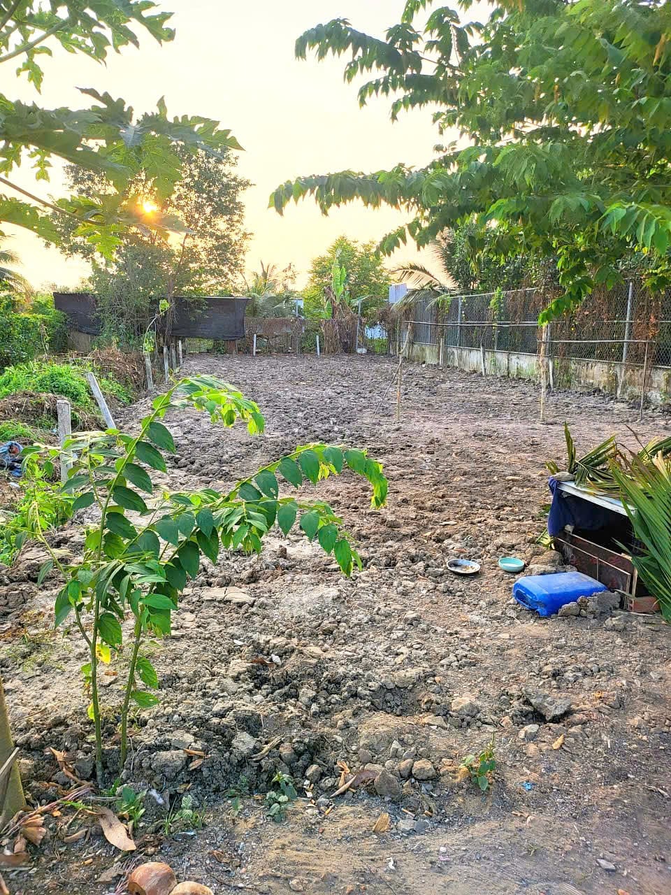 CẦN BÁN ĐẤT THỔ CƯ HƯƠNG LỘ 11, BÌNH CHÁNH, HẺM THÔNG XE HƠI, 300M2 GIÁ ĐẦU TƯ