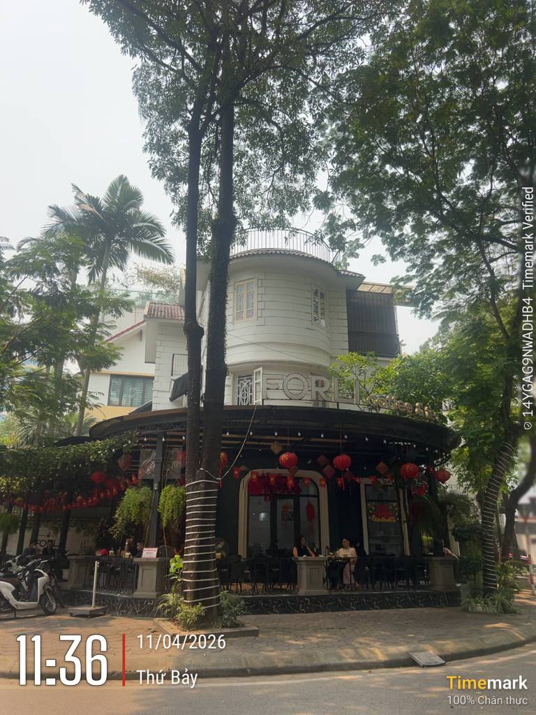BÁN BIỆT THỰ KĐT BẮC LINH ĐÀM, HOÀNG MAI, 215M2 4 TẦNG, LÔ GÓC KINH DOANH, GIÁ TỐT