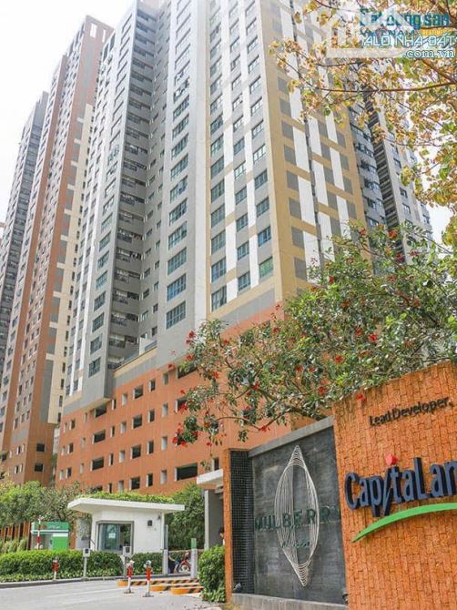 Bán gấp căn 122m2- 3PN- Toà C Mulberry Land- KĐT Mỗ Lao- full đồ- có sổ- nhỉnh 9 tỷ