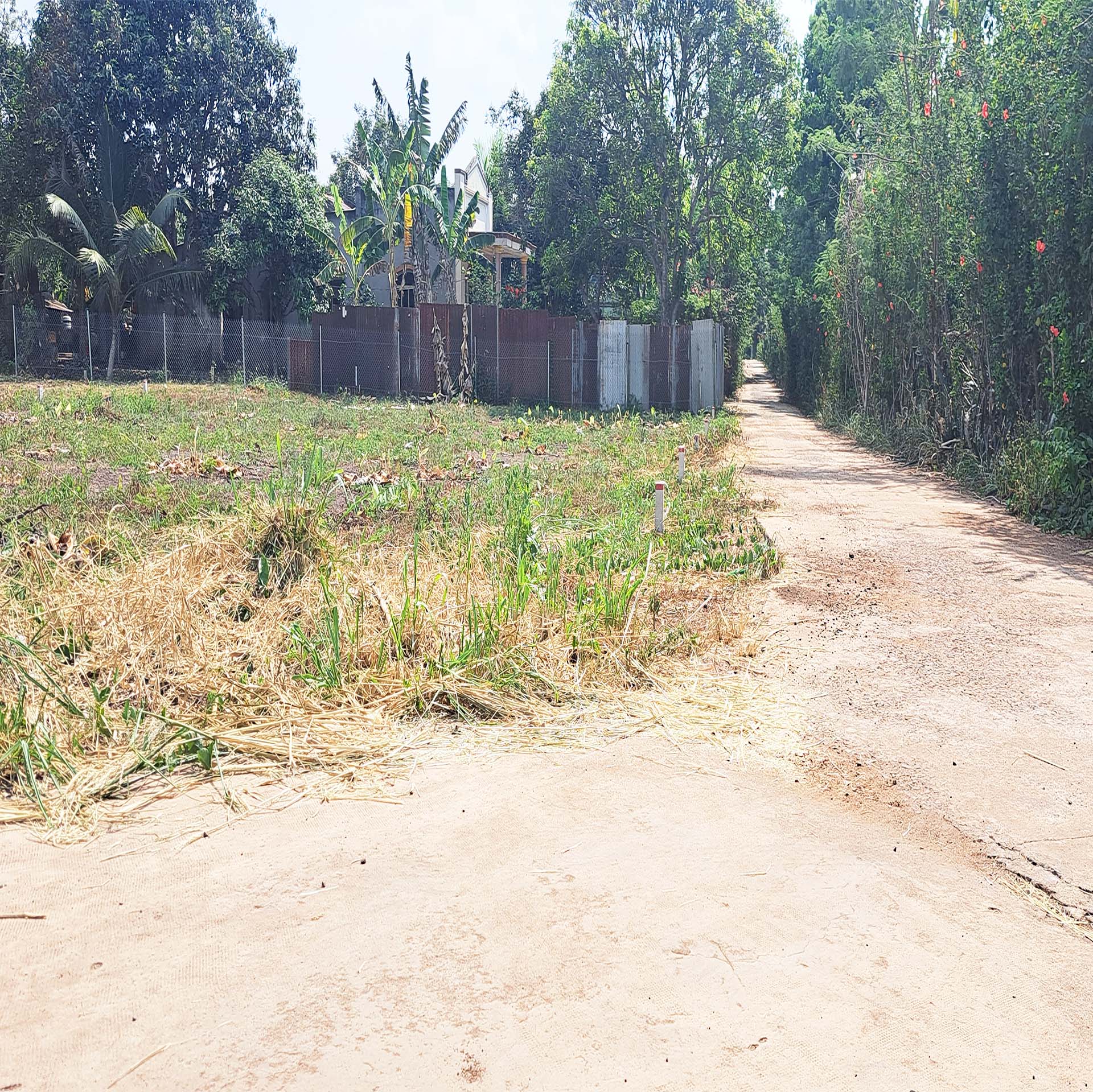 Bán đất Bảo Vinh Long Khánh Đồng Nai, dt 150m2 giá rẻ, sổ hồng riêng