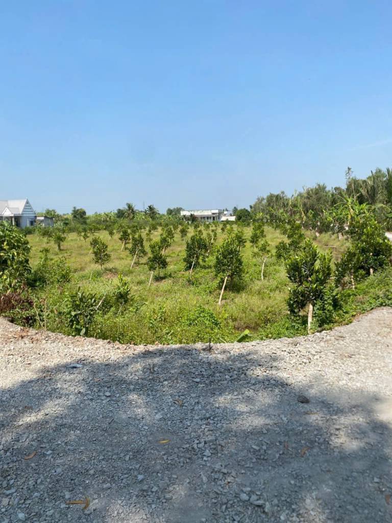 Bán đất vườn view sông Vàm Cỏ Đông , xã Thạnh Hòa, Bến Lức dt 1000m2 giá 1,55 tỷ
