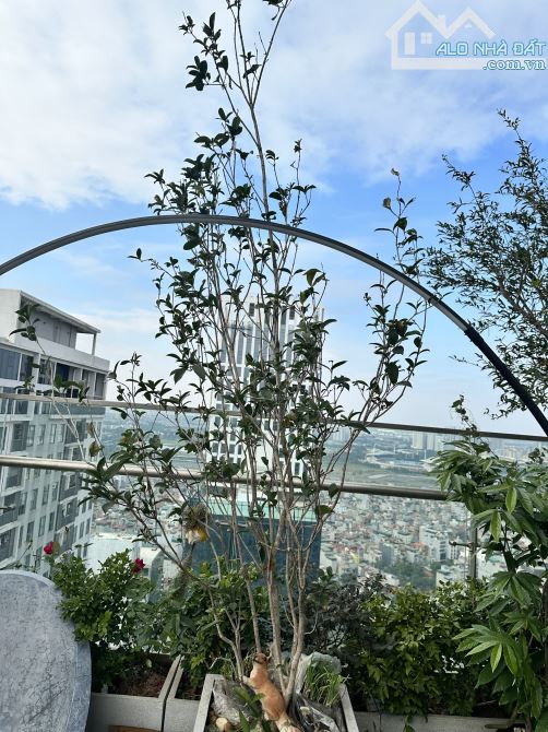 Cần bán CH Duplex 286m - 50 tỷ view toàn tp Hà Nội duy nhất tại chung cư Mỹ Đình Pearl