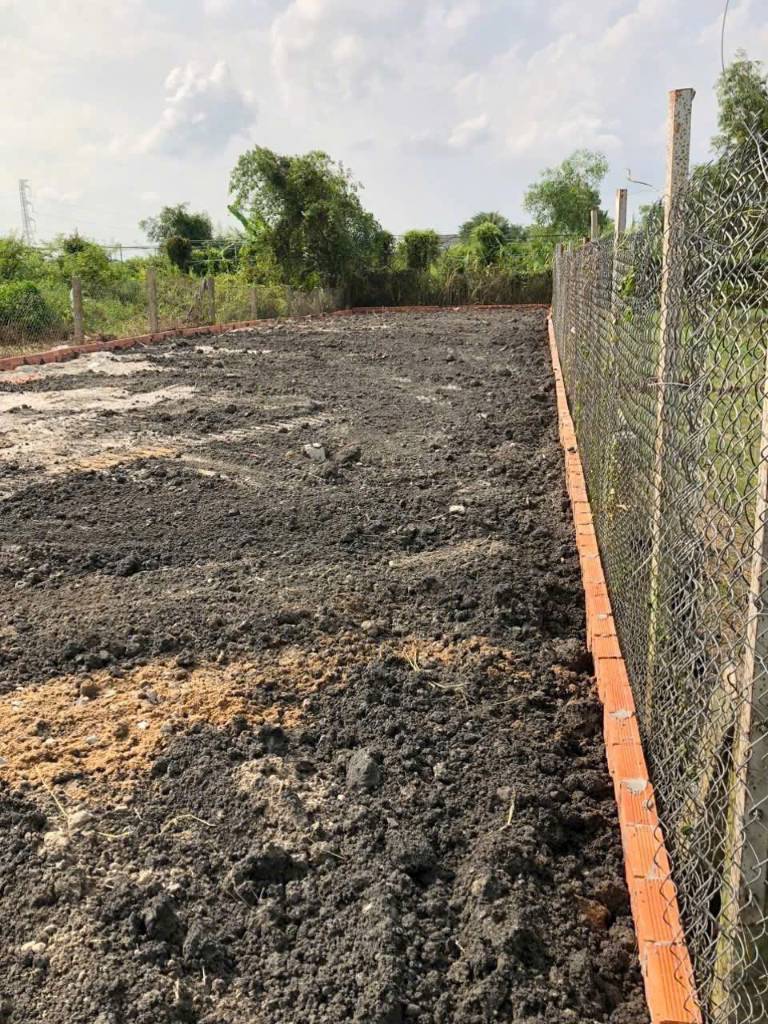 Bán nền thổ cư đường beton 6m xã Mỹ Bình, Tân Trụ dt 278,9m2 hướng Đông Nam giá 1,45 tỷ