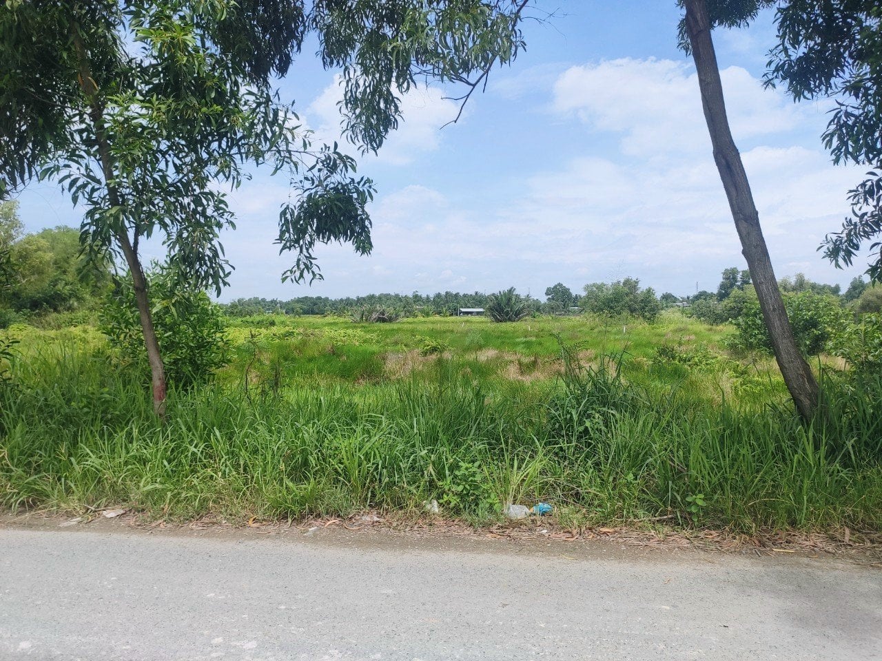BÁN ĐẤT LÚA ĐƯỜNG VÕ TRẦN CHÍ, BÌNH CHÁNH, 6456M2 NGANG 75X90M ĐỐI DIỆN BV NHI ĐỒNG
