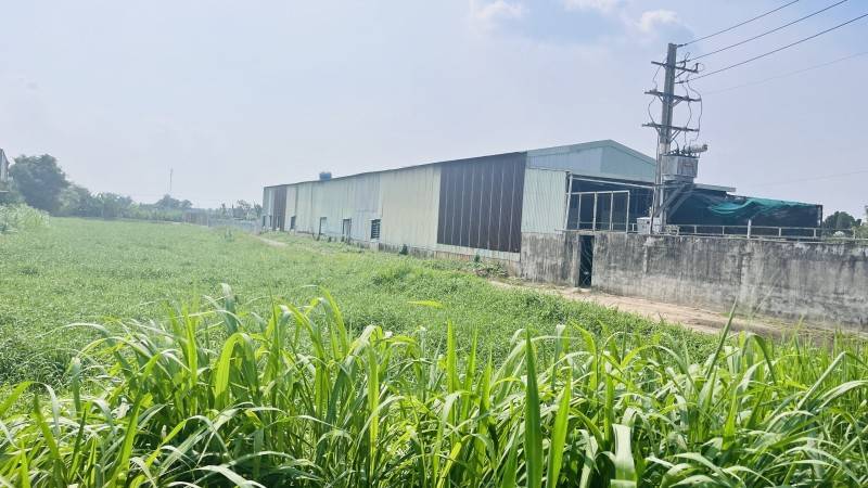 BÁN LÔ ĐẤT ƯỜNG ĐÔNG THẠNH 7, HÓC MÔN, DT 1000M2, GIÁ CHỈ 10,9 TỶ, LÀM KHO XƯỞNG