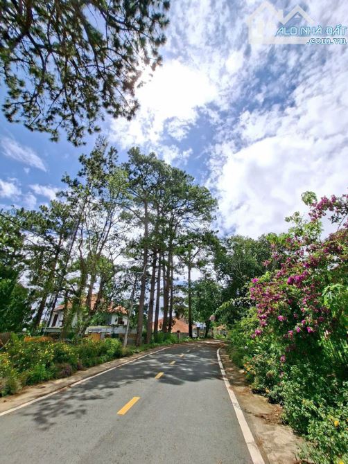 VILLA YÊN THẾ VIEW THÔNG XANH. P10. CẠNH CUNG NAM PHƯƠNG HOÀNG HẬU. GIÁ 24 TỶ