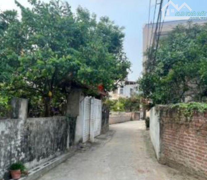 🔴 CHÍNH CHỦ BÁN 120 M² TRÁNG VIỆT, ĐẦU TƯ RẺ, GIÁ 50 TRIỆU/M²