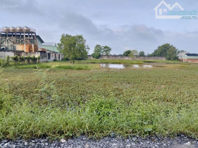 Bán 2775m2 TMDV 1/ Nguyễn Hữu Trí, Thanh Phú, Bến Lức, LA, sát bên Ecopark