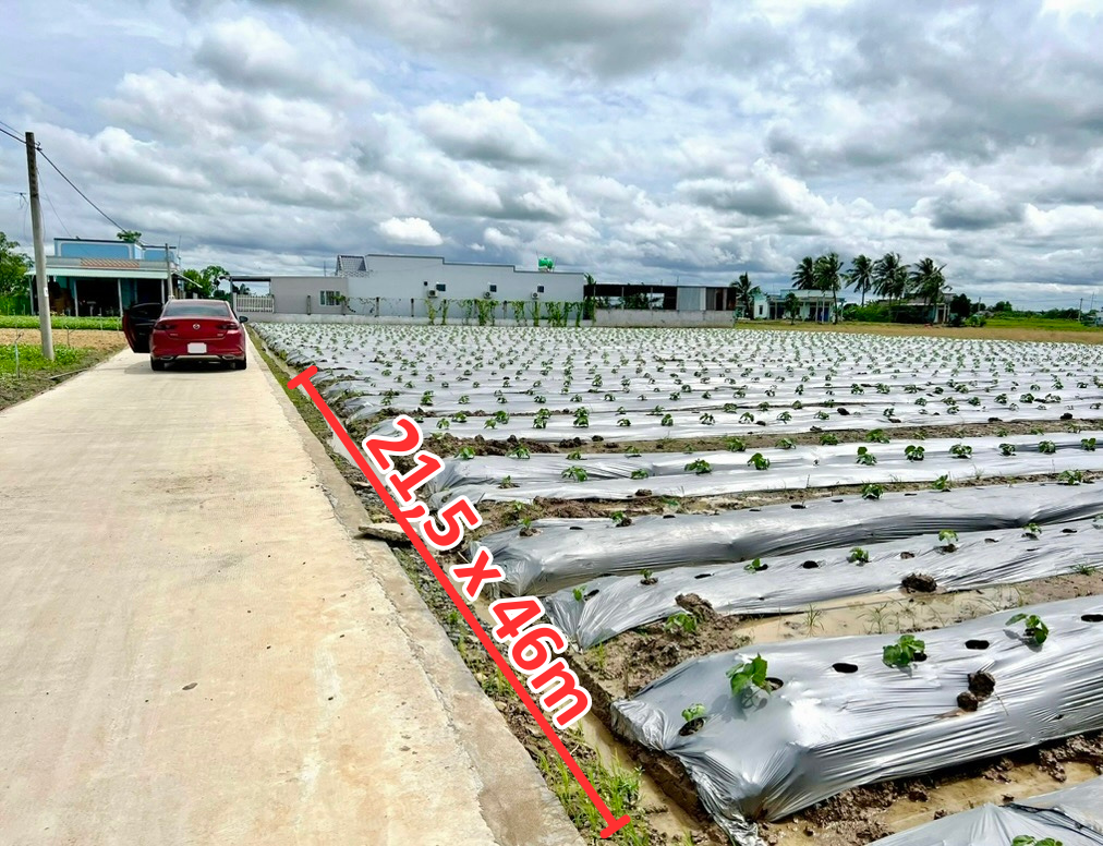 Bán đất xã Thành Công, Gò Công Tâ,y gần tỉnh lộ 873, diện tích 1000m2 giá 2.2 triệu/m2