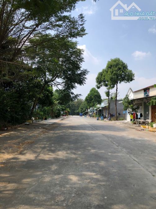⸻ CHÍNH CHỦ BÁN DÃY TRỌ – THU NHẬP ỔN ĐỊNH – GIÁ TỐT ĐẦU TƯ