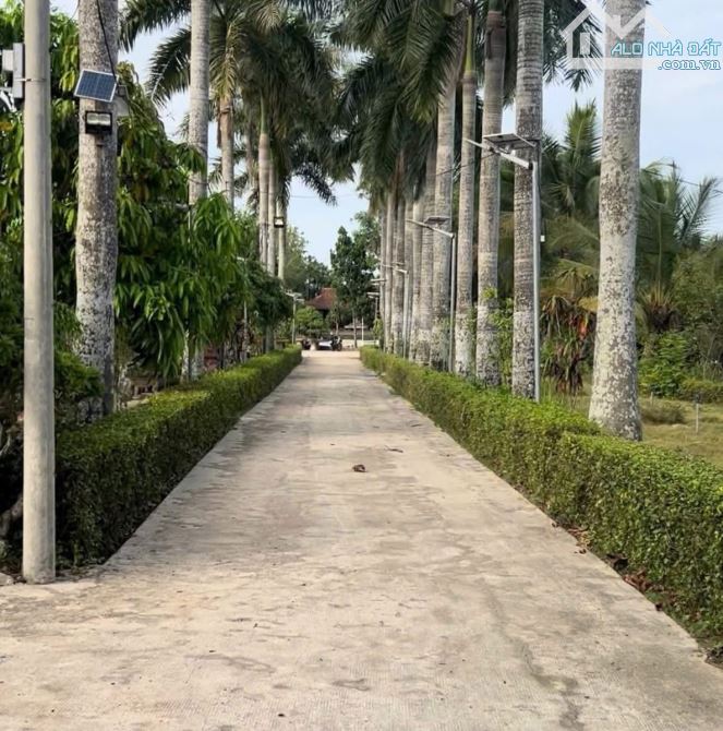 Siêu Phẩm 1Ha Từ 75 Tỷ Giảm Còn Chỉ 25 Tỷ. Tỉnh Lộ 7, Chủ Chi
